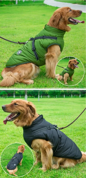 Veste imperméable pour chien Parcemo™