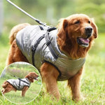 Veste imperméable pour chien Parcemo™