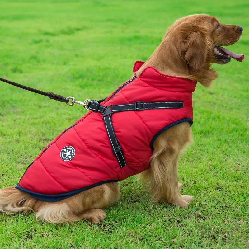 Veste imperméable pour chien Parcemo™