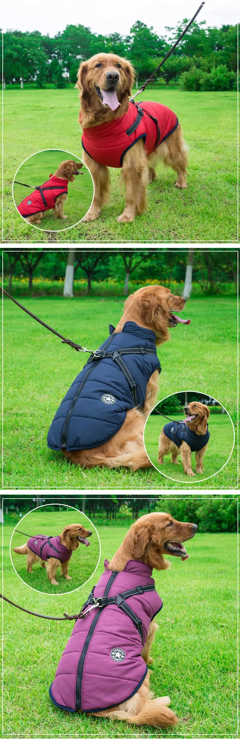 Veste imperméable pour chien Parcemo™