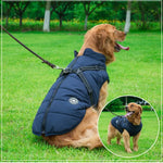 Veste imperméable pour chien Parcemo™