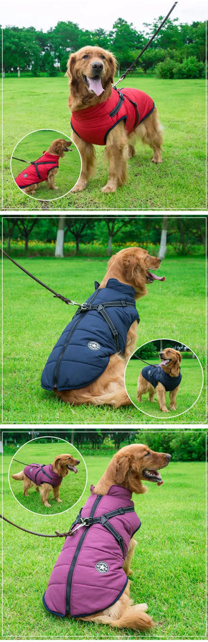 Veste imperméable pour chien Parcemo™