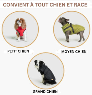 Veste imperméable pour chien Parcemo™